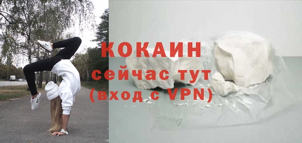 шишки Надым