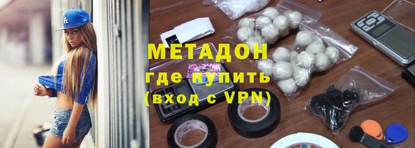 шишки Надым