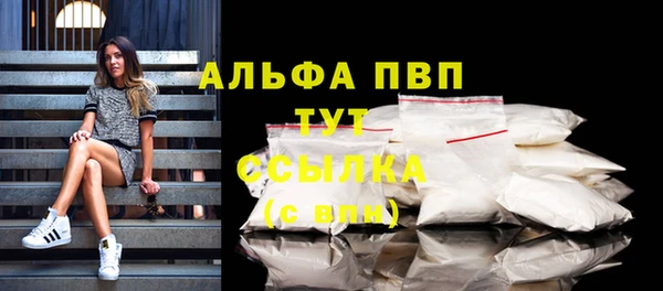 шишки Надым