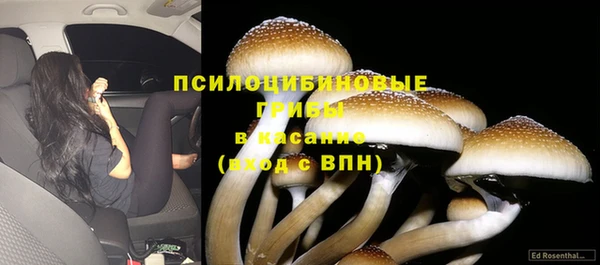 твердый Навашино