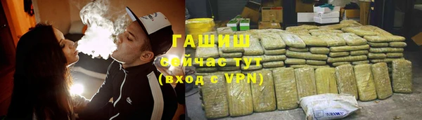 шишки Надым