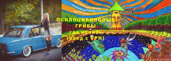 шишки Надым