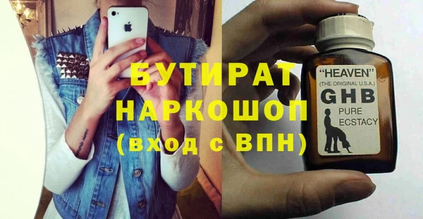 шишки Надым