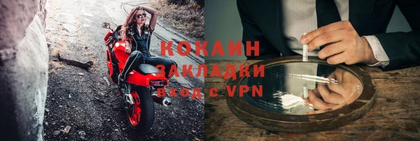 шишки Надым