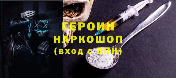 шишки Надым