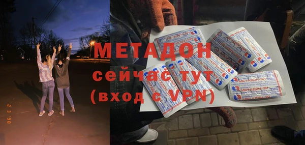 шишки Надым