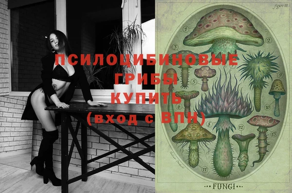хмурый Апатиты