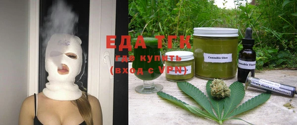 шишки Надым