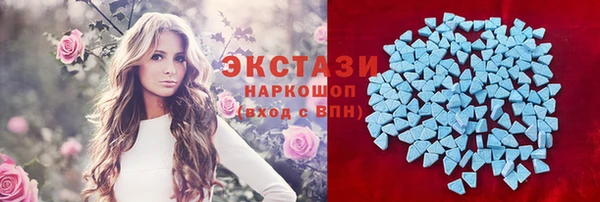 шишки Надым