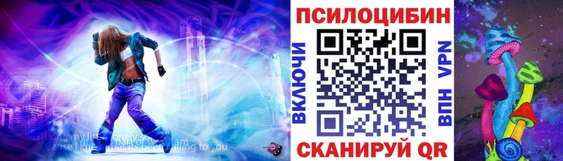 как найти   Грозный  Псилоцибиновые грибы Magic Shrooms 