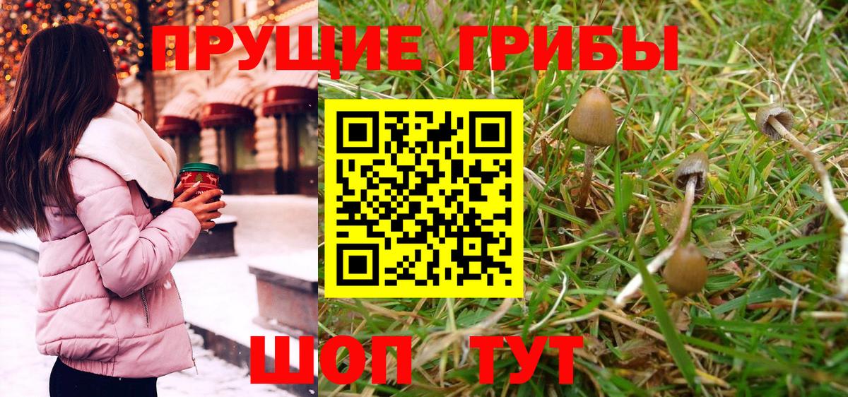 Псилоцибиновые грибы ЛСД Грозный