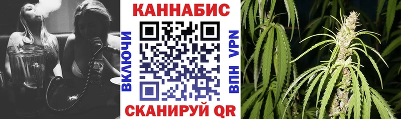 наркота  Грозный  МАРИХУАНА сатива 