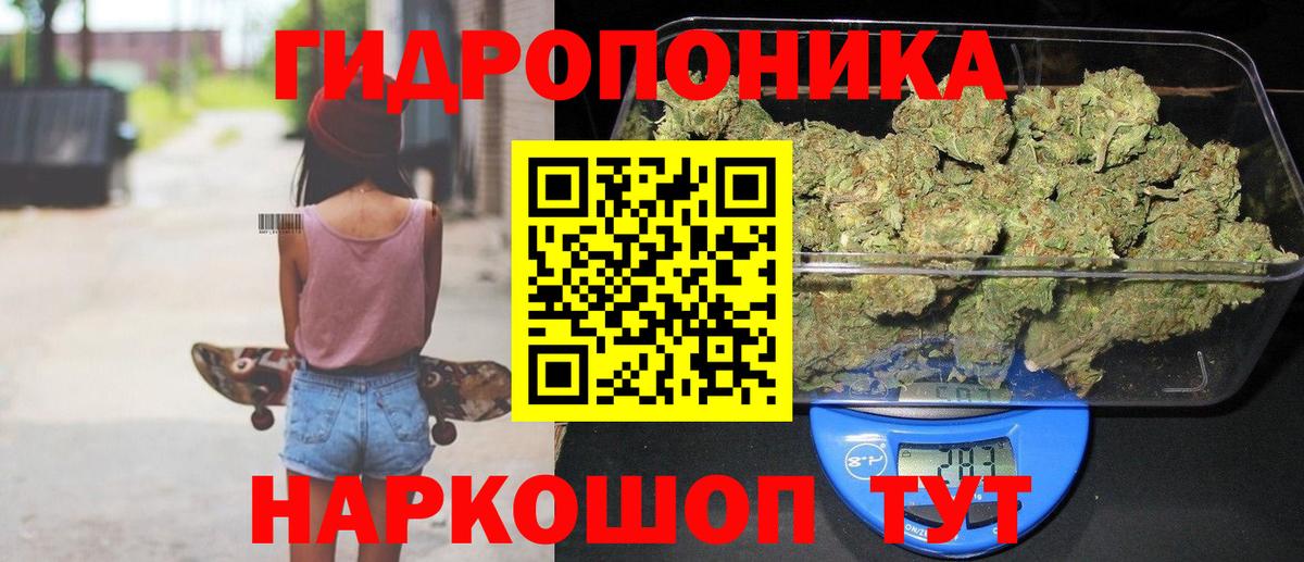 Бошки Шишки MAZAR Грозный